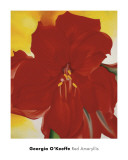 Red Amaryllis, c.1937 Reprodukcje autor Georgia O'Keeffe Red Amaryllis, c.1937 Reprodukcje autor Georgia O'Keeffe