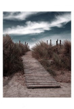 The Pathway Prints by Gill Copeland The Pathway Prints by Gill Copeland