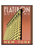 Edificio Flatiron Póster por Brian James