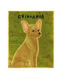 Chihuahua (tan) Prints by John Golden