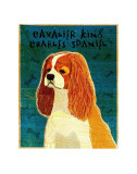 Cavalier King Charles (blenheim) Affiches par John Golden