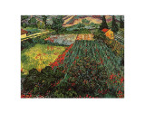 Field of Poppies, Saint-Remy, c.1889 Posters by Vincent van Gogh Field of Poppies, Saint-Remy, c.1889 Posters by Vincent van Gogh