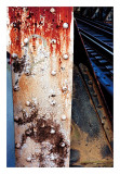 V Gallery C Prints by Linda Lauby