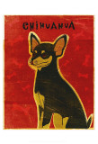 Chihuahua (black and tan) Print by John Golden
