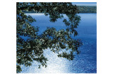 Silver Light, 2006 Posters by Alice Dalton Brown