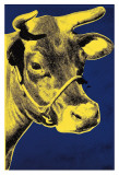 Cow, c.1971 (Blue and Yellow) Kunstdrucke von Andy Warhol