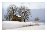 Blizzard Prints by Peter Sculthorpe