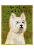 West Highland White Terrier Prints by John Golden