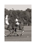 Polo In The Park IV Prints by Ben Wood
