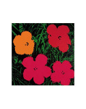 Flowers, 1964 (Red, Pink and Yellow) Prints by Andy Warhol