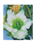 Cup of Silver Ginger, c.1939 Kunstdrucke von Georgia O'Keeffe