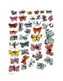 Mariposas, 1955 Póster por Andy Warhol