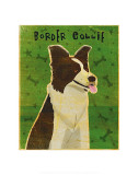 Border Collie Pósters por John Golden Border Collie Pósters por John Golden