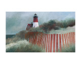 Viejo faro de Nauset Pósters por Albert Swayhoover Viejo faro de Nauset Pósters por Albert Swayhoover