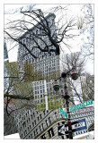 Flatiron Collage Print by Erin Clark