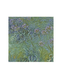Jewelry Lilies Poster von Claude Monet