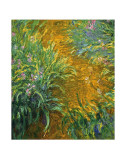 The Path in the Iris Garden Poster by Claude Monet