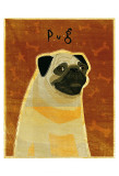 Pug Poster by John Golden