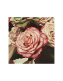 Vintage Rose Posters by Elizabeth Hellman