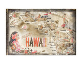Aloha Hawaii Prints