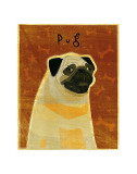 Pug Posters by John Golden
