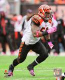Rey Maualuga 2010 Action Foto