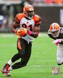 Terrell Owens 2010 Action Photo