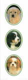 Decorative Panels Dogs II Prints
