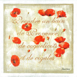 Les Coquelicots de Provence Poster by Pascal Cessou