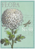 Flora Nouveau Prints by Devon Ross