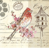 Bird Sketch I Art par Chad Barrett