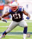 Jerod Mayo 2010 Action Photo