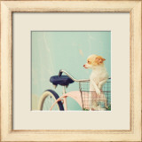 Dog Gone Prints by Mandy Lynne