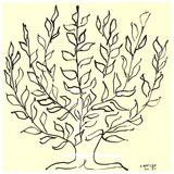 Le Buisson Serigraph by Henri Matisse