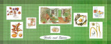 Herbs and Spices Print