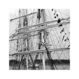 Graceful Sailing Yatch III Posters by Carl Ellie