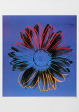 Daisy Blue Art par Andy Warhol