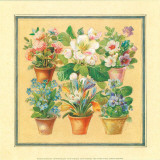 Flower IV Poster