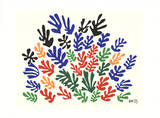 Henri Matisse - Spray of Leaves Sítotisk Henri Matisse - Spray of Leaves Sítotisk