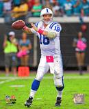 Peyton Manning 2010 Action Photo