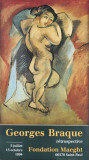 Grand Nu Poster von Georges Braque