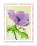 Message in a Bottle, Anemone Poster von A. Vargas