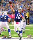 Peyton Manning 2010 Action Photo