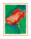 Message in a Bottle, Papaver Poster von A. Vargas