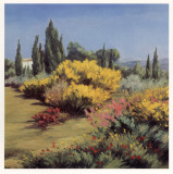 Provencal Landscape Posters by  Zarou