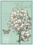 Fleur Nouveau Affiches par Devon Ross