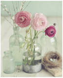 Blooming Bottles Poster von Mandy Lynne