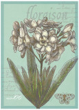Floraison Nouveau I Posters by Devon Ross