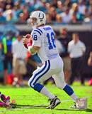 Peyton Manning 2010 Action Foto