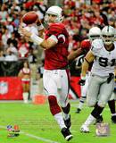 Derek Anderson 2010 Action Photo